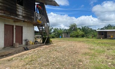 SE VENDE FINCA AGRÍCOLA EN PRODUCCIÓN 126,70 HECTÁREAS, MONTERREY – LA CONCORDIA - SANTO DOMINGO - ECUADOR