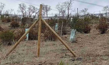 Terreno a la venta Calera de tango 5500 m2 con pendiente