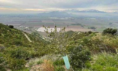 Terreno a la venta Calera de tango 5500 m2 con pendiente