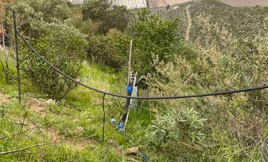 Terreno a la venta Calera de tango 5500 m2 con pendiente