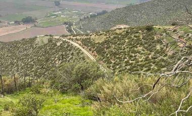 Terreno a la venta Calera de tango 5500 m2 con pendiente