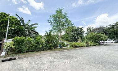 Ayala Southvale Primera | Residential Lot For Sale - #8800