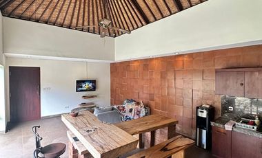 2 BEDROOMS VILLA WITH PRIVATE POOL - 5 MINUTES WALKS TO SANUR BEACH