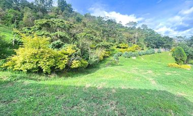 LOTE EN VENTA  EN LA VEREDA SAN JOSE DE PEÑA  TIBACUY - CUNDINAMARCA