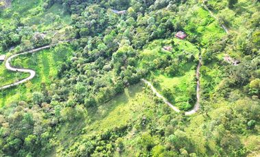LOTE EN VENTA  EN LA VEREDA SAN JOSE DE PEÑA  TIBACUY - CUNDINAMARCA