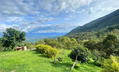 LOTE EN VENTA  EN LA VEREDA SAN JOSE DE PEÑA  TIBACUY - CUNDINAMARCA