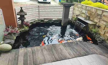 DI SEWAKAN RUMAH CANTIK 3 LT DEKAT THE JUNGLE WATER PARK BOGOR
