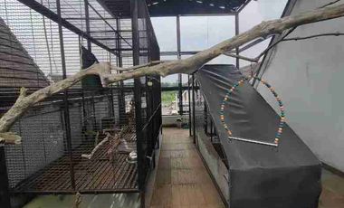 DI SEWAKAN RUMAH CANTIK 3 LT DEKAT THE JUNGLE WATER PARK BOGOR