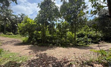 Land For Sale in Lunga