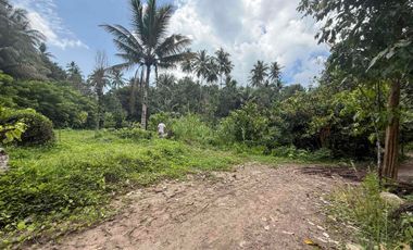 Land For Sale in Lunga