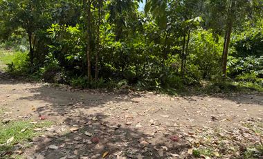 Land For Sale in Lunga