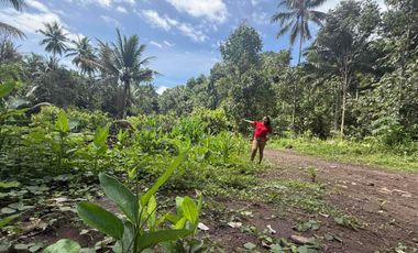 Land For Sale in Lunga