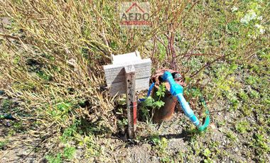 Se Vende Linda Parcela con Casa, Fundo Los Maitenes de Ocoa, comuna de Hijuelas.