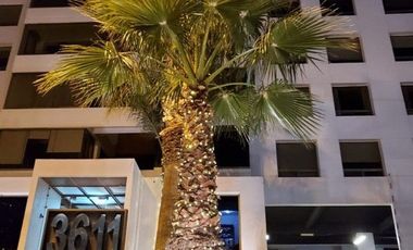 INCREIBLE DEPARTAMENTO EN ZONA NORTE CON TODOS LOS SERVICIOS INCLUIDOS Y AMUEBLADO, 3 RECÁMARAS Y ALBERCA