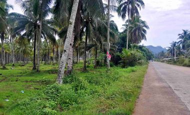 prime Lot for Sale in San francisco agusan del sur