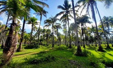 prime Lot for Sale in San francisco agusan del sur