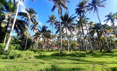 prime Lot for Sale in San francisco agusan del sur