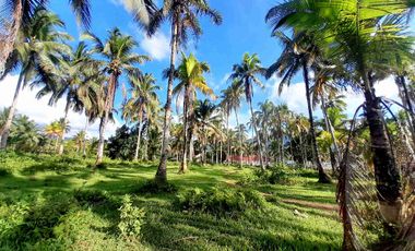 prime Lot for Sale in San francisco agusan del sur