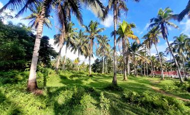 prime Lot for Sale in San francisco agusan del sur