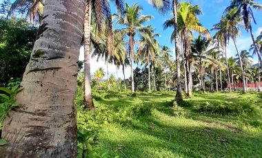 prime Lot for Sale in San francisco agusan del sur