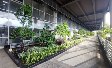 Loft-Style Living Near NAIA! 1BR at 81 Newport Boulevard | 65.8 sqm | Move-in Ready | Rent-to-Own