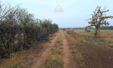 Se Venden Terrenos Planos de 5000 m2, con Rol propio. Parcelación sector Ex Asentamiento El Melón, comuna de Nogales,  Región de Valparaíso.
