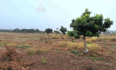 Se Venden Terrenos Planos de 5000 m2, con Rol propio. Parcelación sector Ex Asentamiento El Melón, comuna de Nogales,  Región de Valparaíso.