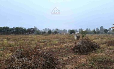 Se Venden Terrenos Planos de 5000 m2, con Rol propio. Parcelación sector Ex Asentamiento El Melón, comuna de Nogales,  Región de Valparaíso.