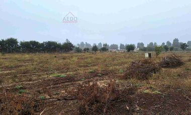 Se Venden Terrenos Planos de 5000 m2, con Rol propio. Parcelación sector Ex Asentamiento El Melón, comuna de Nogales,  Región de Valparaíso.