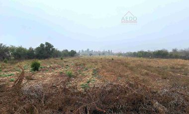 Se Venden Terrenos Planos de 5000 m2, con Rol propio. Parcelación sector Ex Asentamiento El Melón, comuna de Nogales,  Región de Valparaíso.