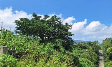 Baguio Corner Lot 369 sq.m. Within the Village and View