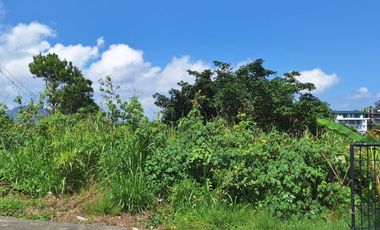 Baguio Corner Lot 369 sq.m. Within the Village and View