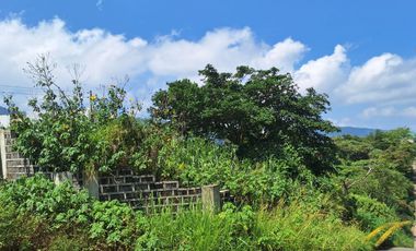 Baguio Corner Lot 369 sq.m. Within the Village and View