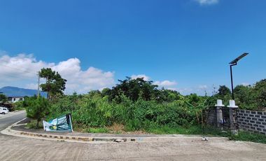 Baguio Corner Lot 369 sq.m. Within the Village and View