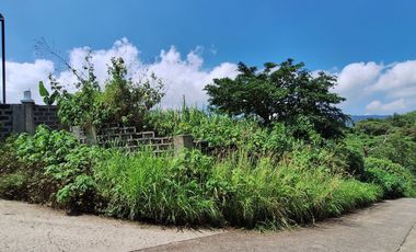 Baguio Corner Lot 369 sq.m. Within the Village and View