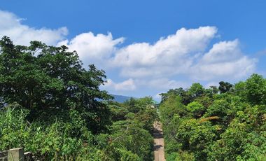 Baguio Corner Lot 369 sq.m. Within the Village and View