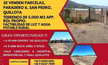 Se Venden Parcelas con rol propio de 5.000 m2 app, Pasaje La Constancia, a la altura paradero 6, San Pedro, comuna de Quillota.