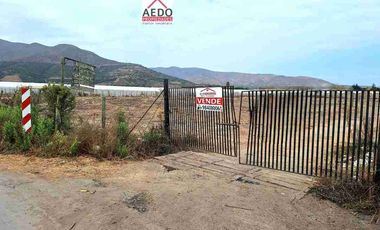Se Venden Parcelas con rol propio de 5.000 m2 app, Pasaje La Constancia, a la altura paradero 6, San Pedro, comuna de Quillota.