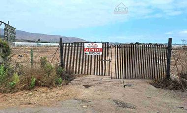 Se Venden Parcelas con rol propio de 5.000 m2 app, Pasaje La Constancia, a la altura paradero 6, San Pedro, comuna de Quillota.