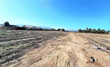Se Venden Parcelas con rol propio de 5.000 m2 app, Pasaje La Constancia, a la altura paradero 6, San Pedro, comuna de Quillota.