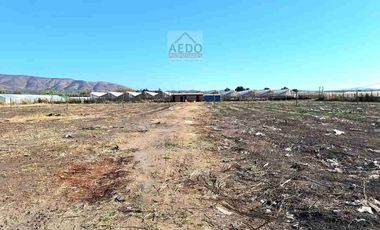 Se Venden Parcelas con rol propio de 5.000 m2 app, Pasaje La Constancia, a la altura paradero 6, San Pedro, comuna de Quillota.