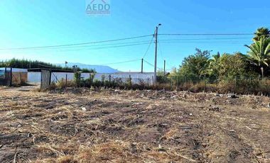 Se Venden Parcelas con rol propio de 5.000 m2 app, Pasaje La Constancia, a la altura paradero 6, San Pedro, comuna de Quillota.