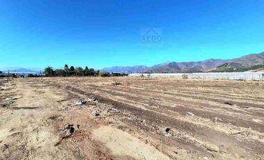 Se Venden Parcelas con rol propio de 5.000 m2 app, Pasaje La Constancia, a la altura paradero 6, San Pedro, comuna de Quillota.