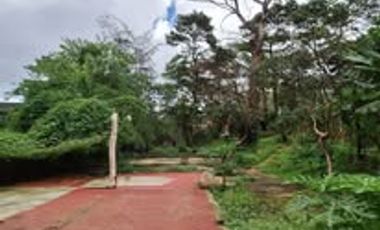 Baguio Prime Lot - Flat Terrain fully fenced with 22 meters frontage Near the Mansion House