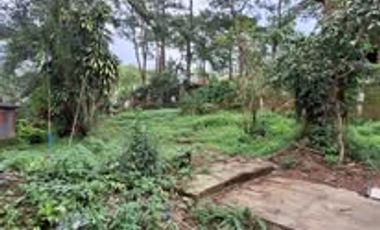 Baguio Prime Lot - Flat Terrain fully fenced with 22 meters frontage Near the Mansion House