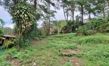 Baguio Prime Lot - Flat Terrain fully fenced with 22 meters frontage Near the Mansion House
