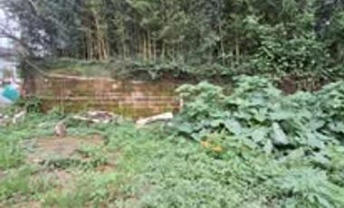 Baguio Prime Lot - Flat Terrain fully fenced with 22 meters frontage Near the Mansion House