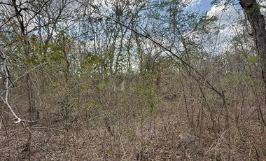 VENTA DE TERRENO EN MOCOCHA - MAS DE 13 HECTAREAS DISPONIBLES.