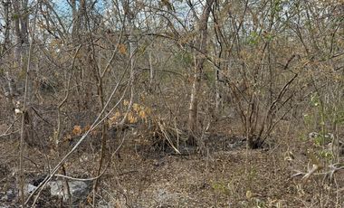 VENTA DE TERRENO EN MOCOCHA - MAS DE 13 HECTAREAS DISPONIBLES.