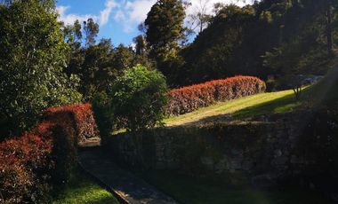 LAS MERCEDES - LA CALERA